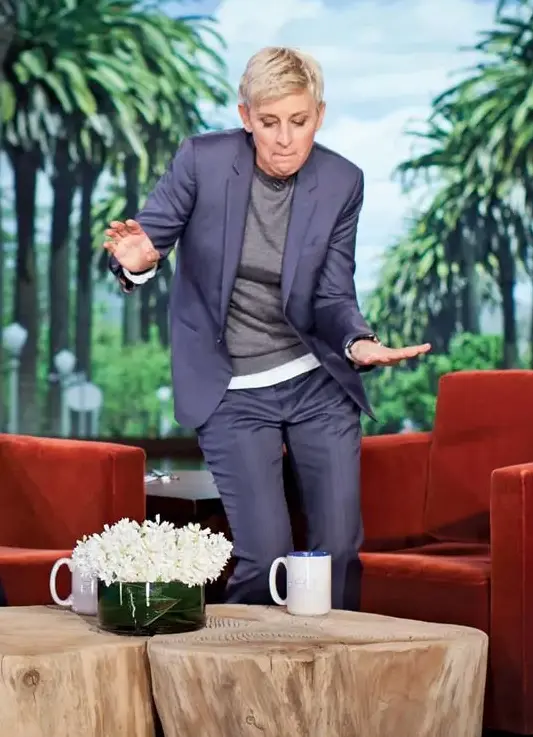 Ellen DeGeneres has been professionally styled by Pilar Steinborn