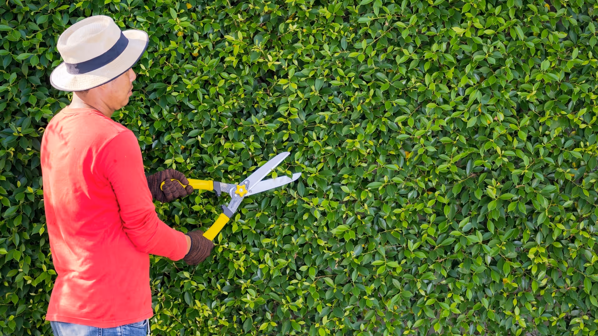 Our Guarantee Background Wood Panel