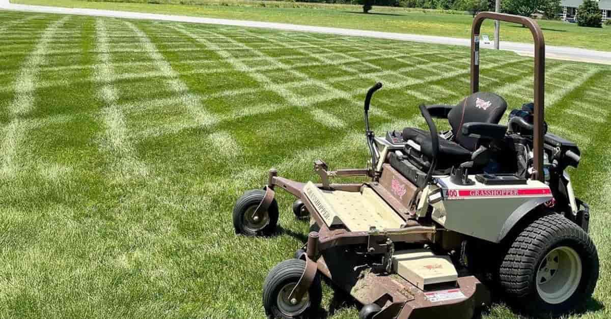 Man mowing a green lawn with a manual push lawn mower on a sunny day.
