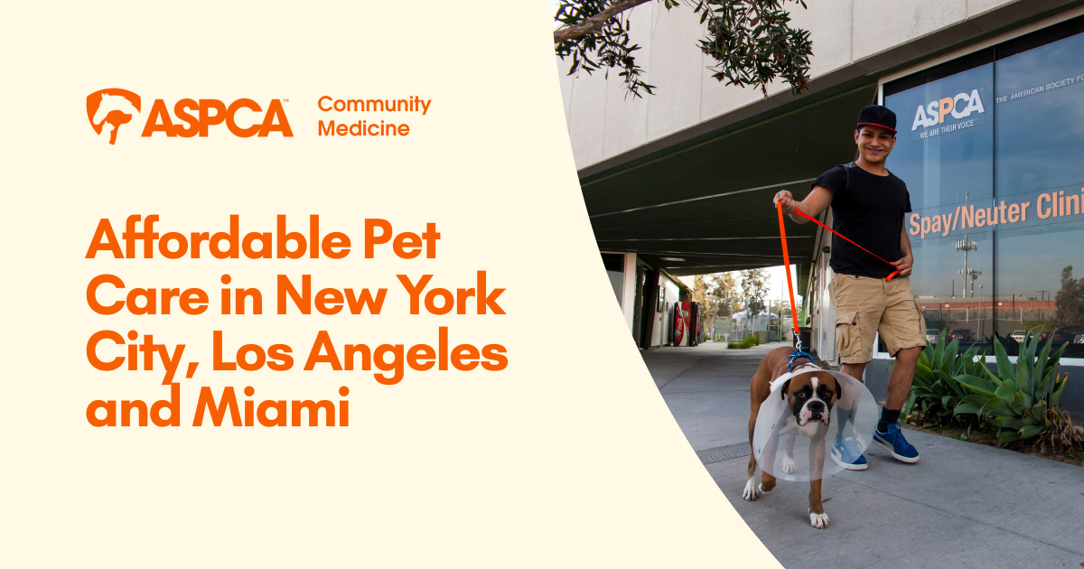 Affordable Pet Care in New York City, Los Angeles and Miami | ASPCA ...