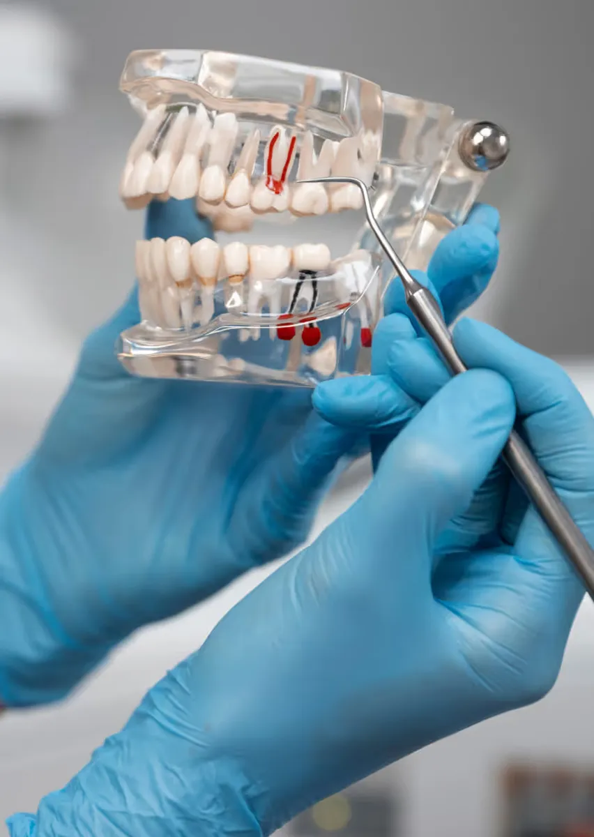 Restorative Dentistry