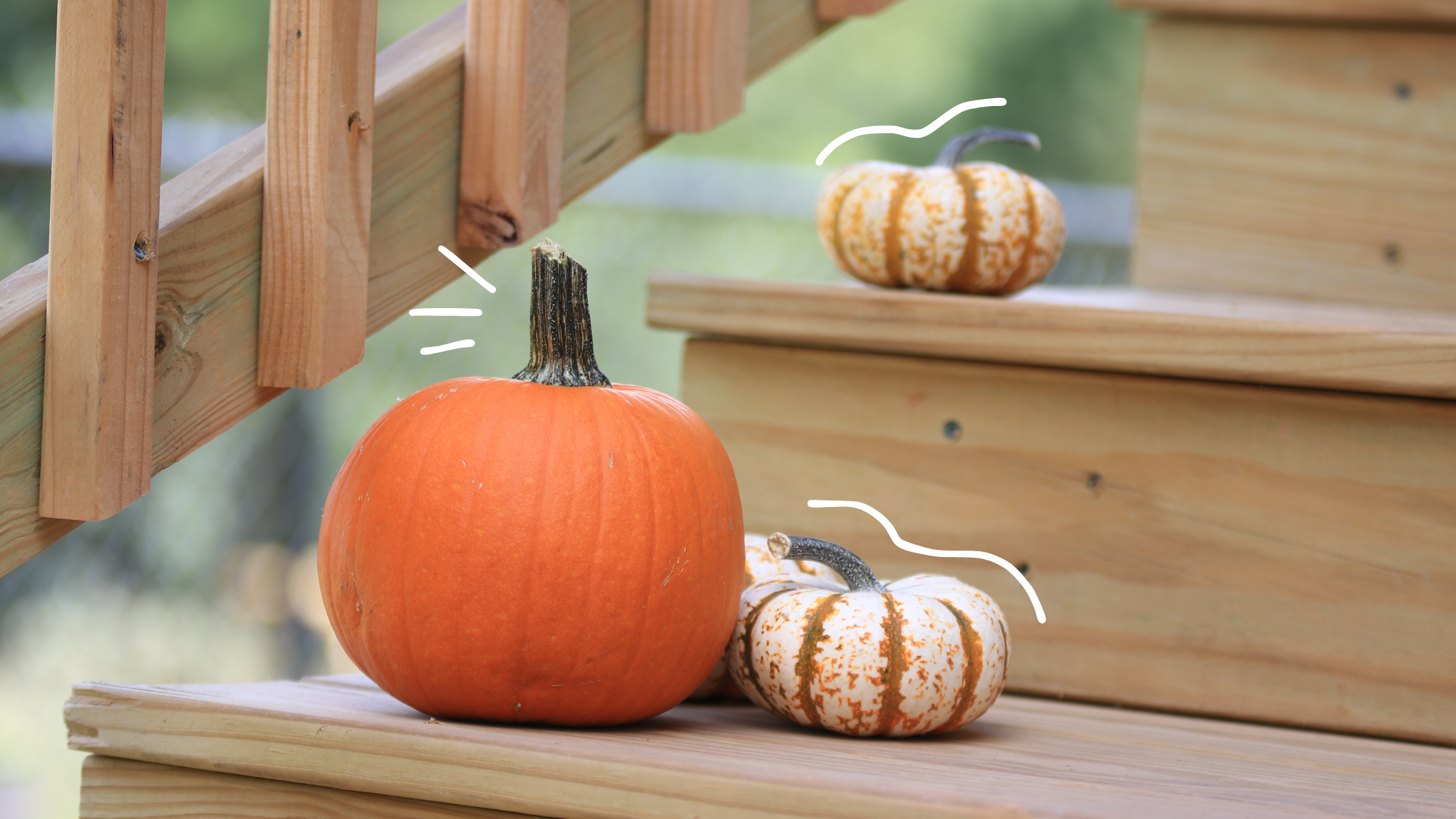 Pumpkins on the steps of a front porch