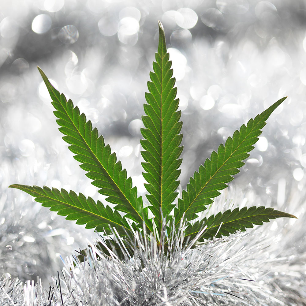 Cannabis leaf sitting on and in front of silver tinsel