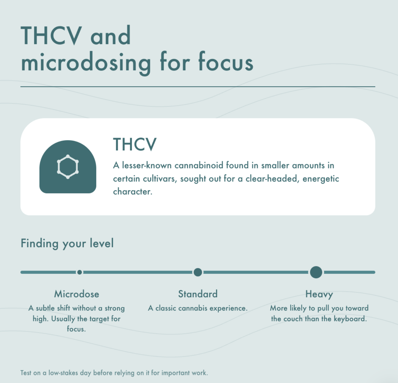 Explainer graphic on THCV and microdosing cannabis for focus