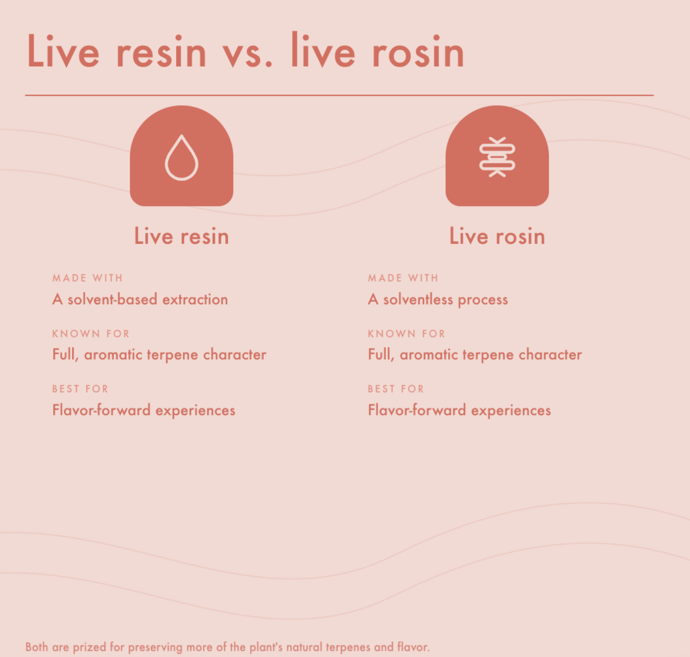 Graphic comparing live resin and live rosin cannabis concentrates