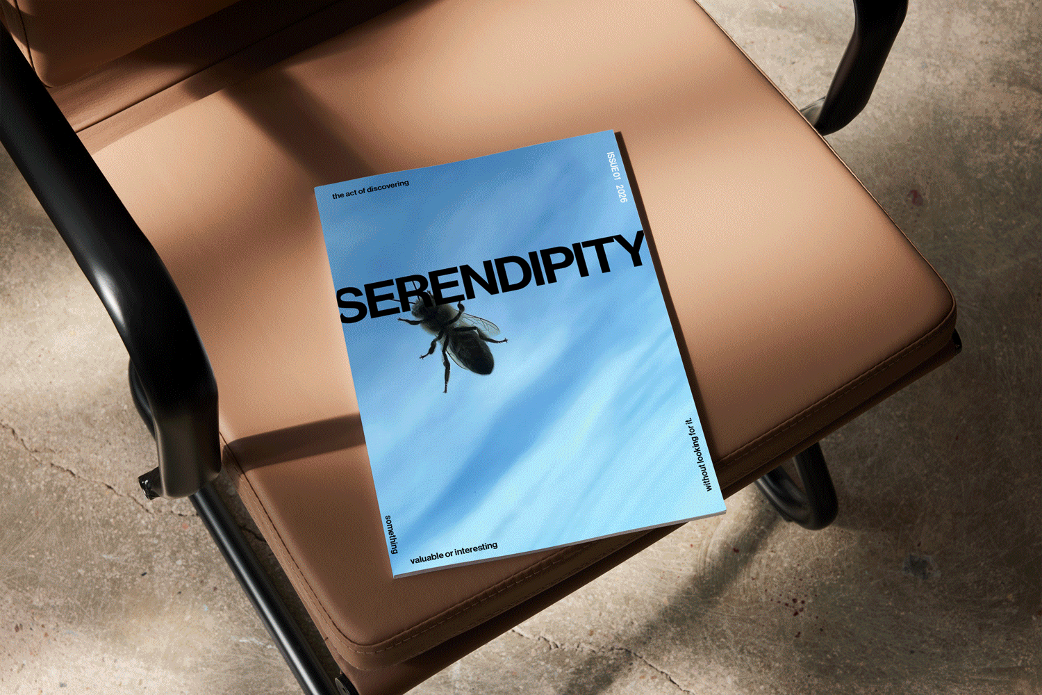 Kunstfotomagasin med fokus på eksperimentell design. Prosjektet utforsker samspillet mellom fotografi, grid, typografi, farger og komposisjon for å skape et øyeblikk.