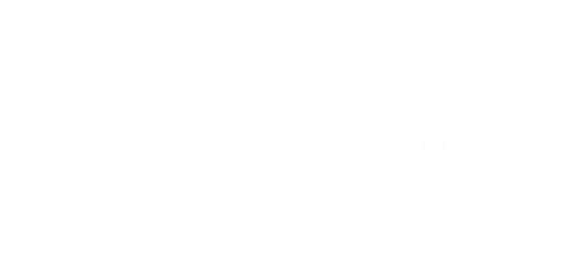 The New Scientist