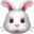 🐰
