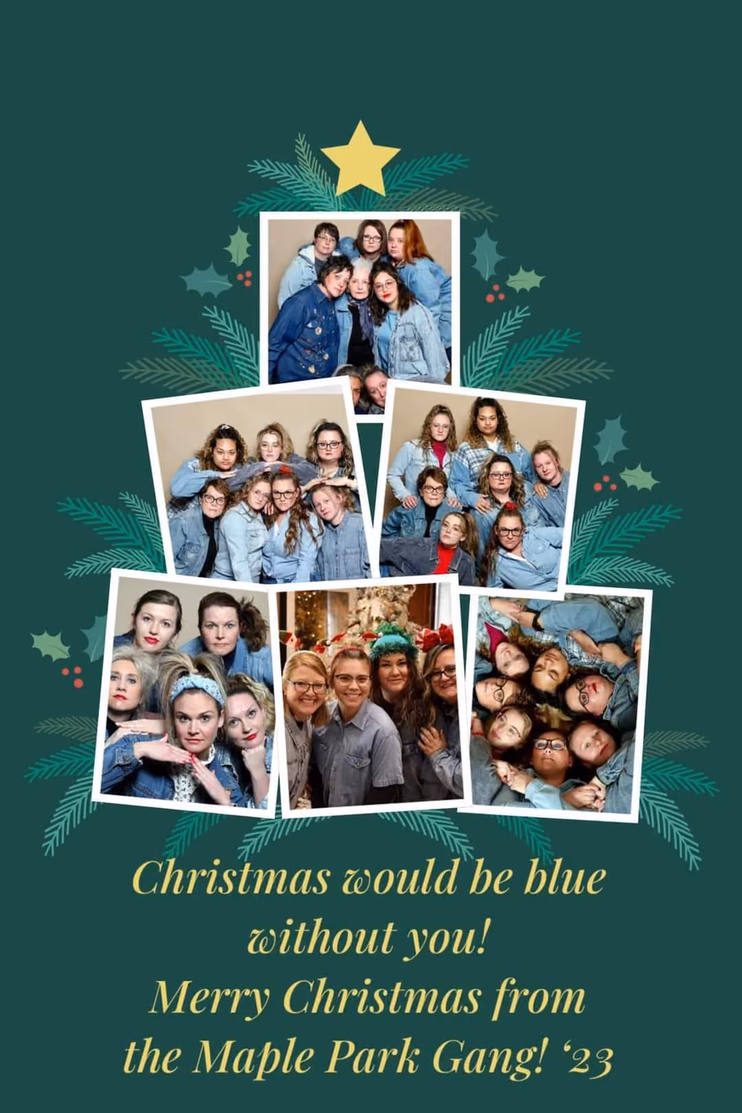 Merry Christmas from Maple Park Dental