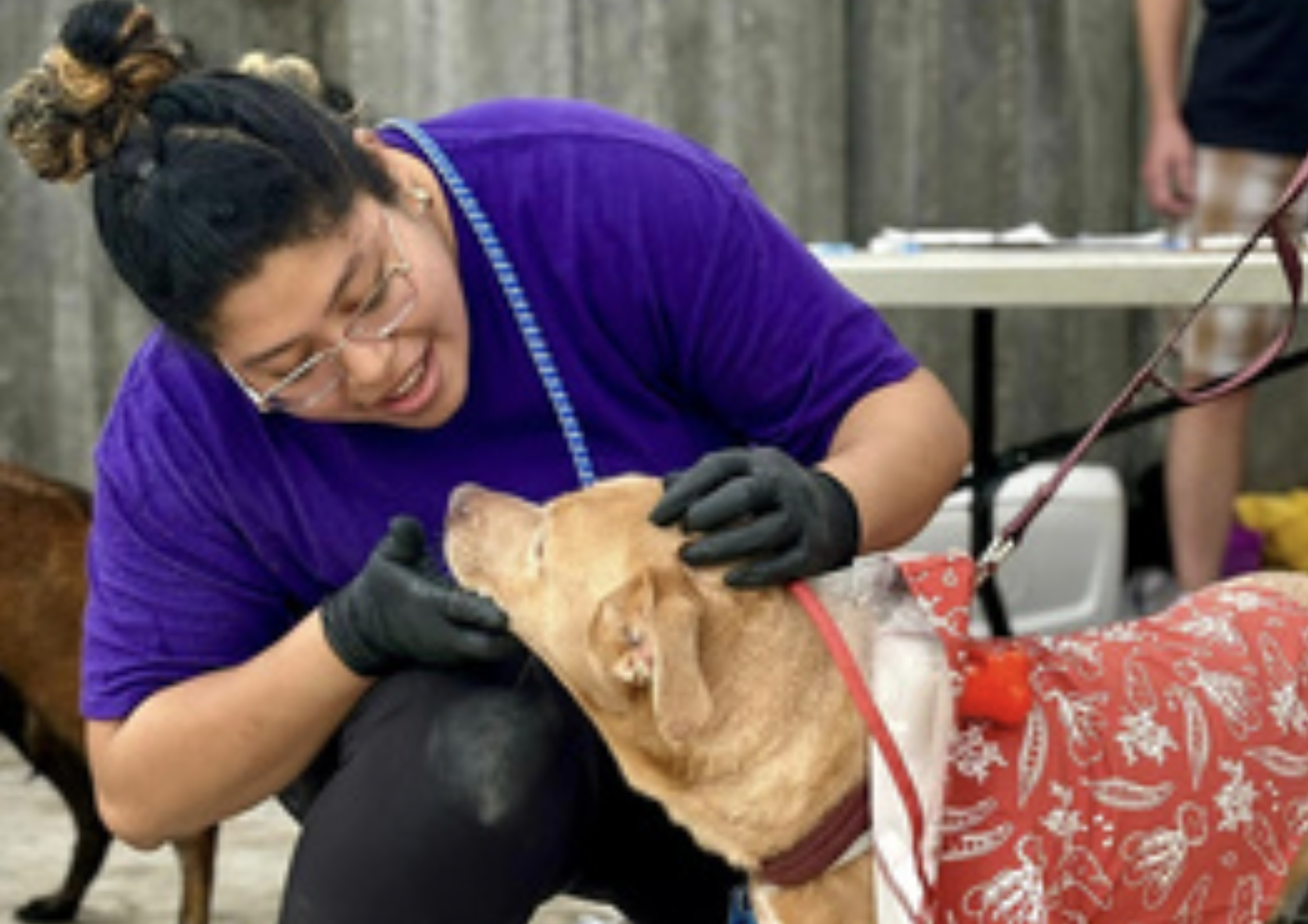 Petworking in the Park