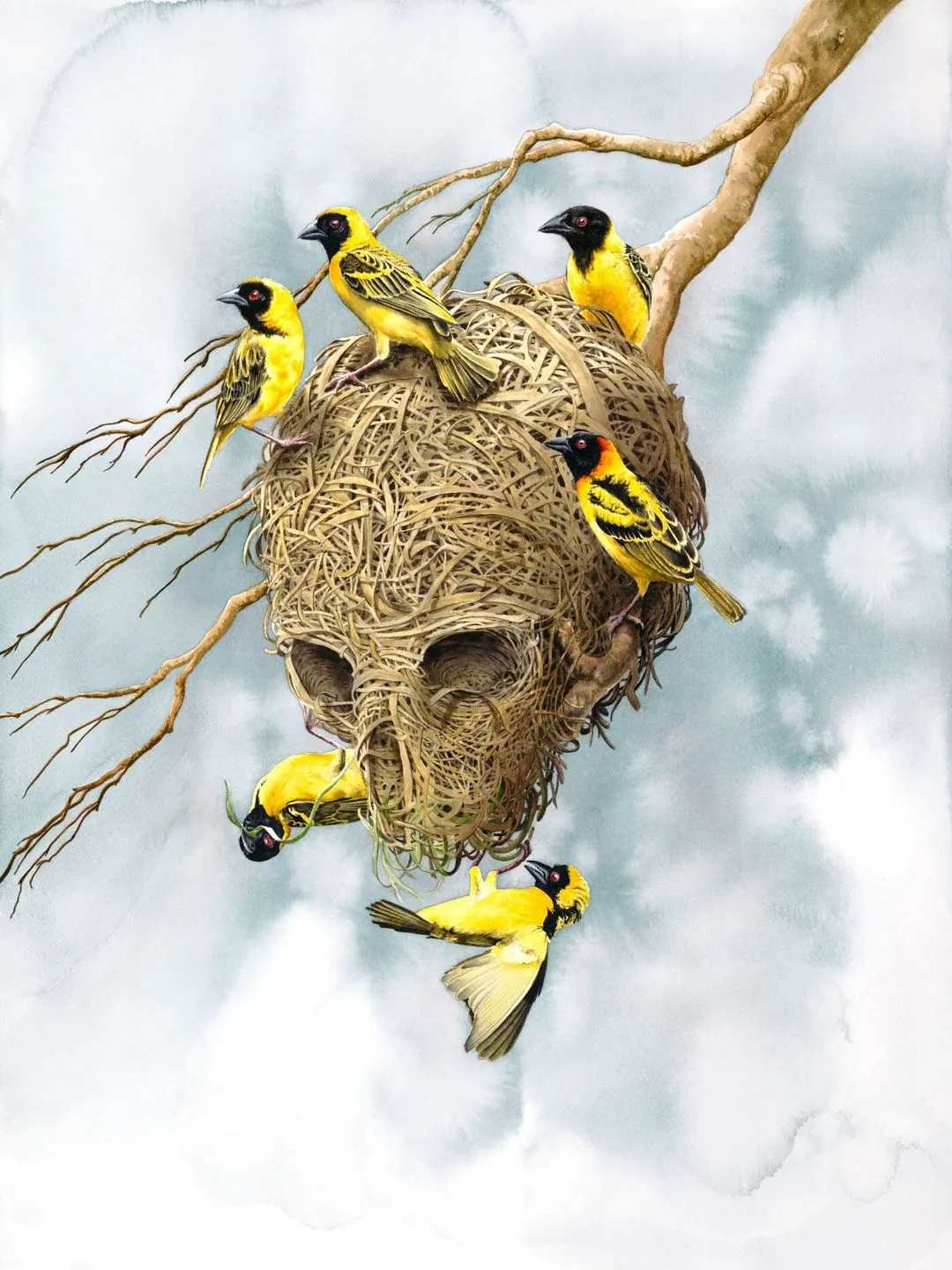 Watercolor of a bird's nest shaped like a skull