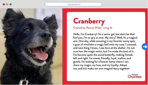 Close-up of a happy black dog with its tongue out next to a story about Cranberry, a senior dog available for adoption.