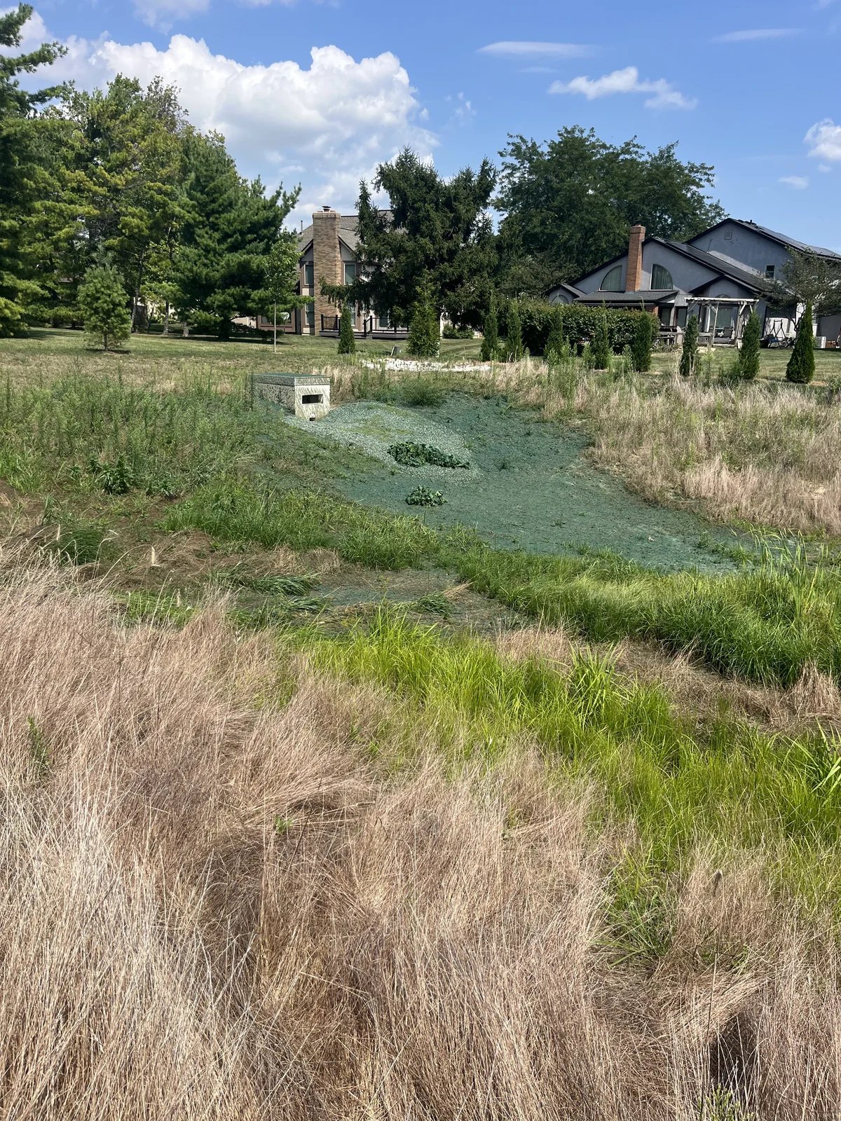 Field with dry and green grass and a small concrete drainage structure, with houses and trees in the background under a partly cloudy sky.
