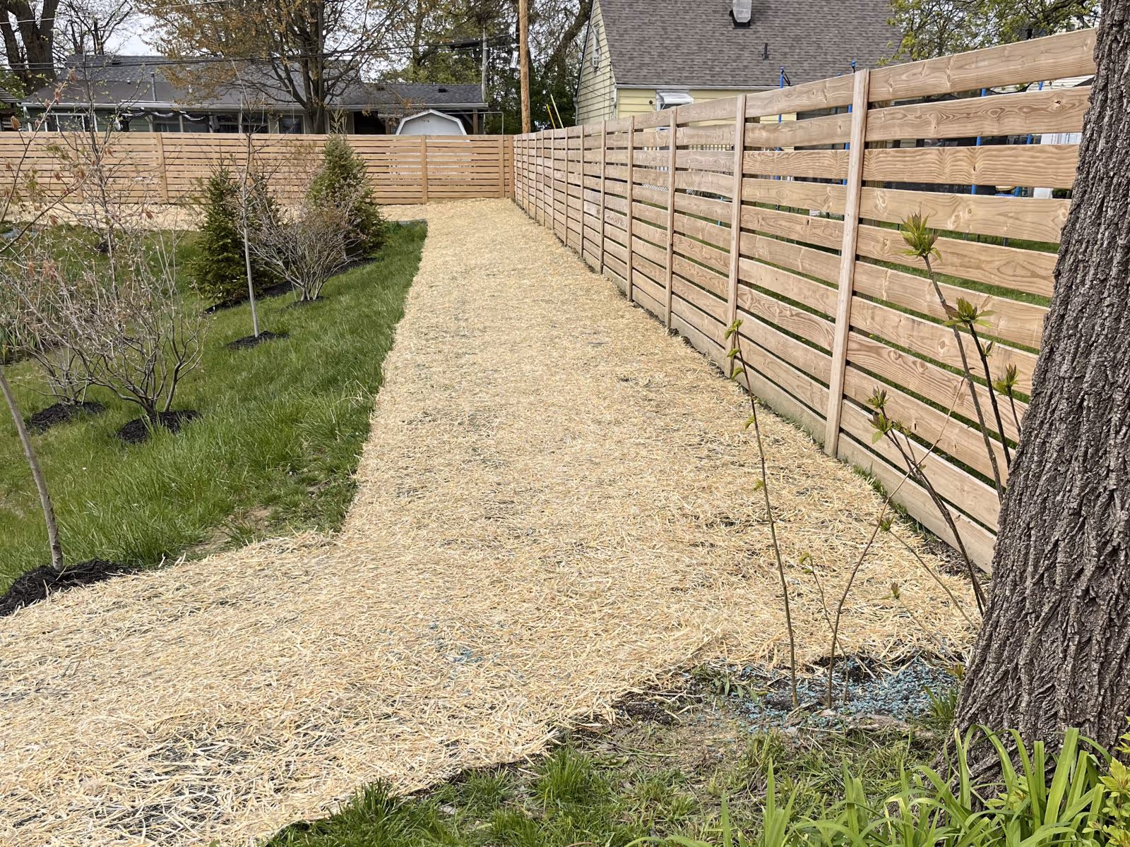 Long garden pathway covered with straw, bordered by green grass and young trees, next to a wooden fence.