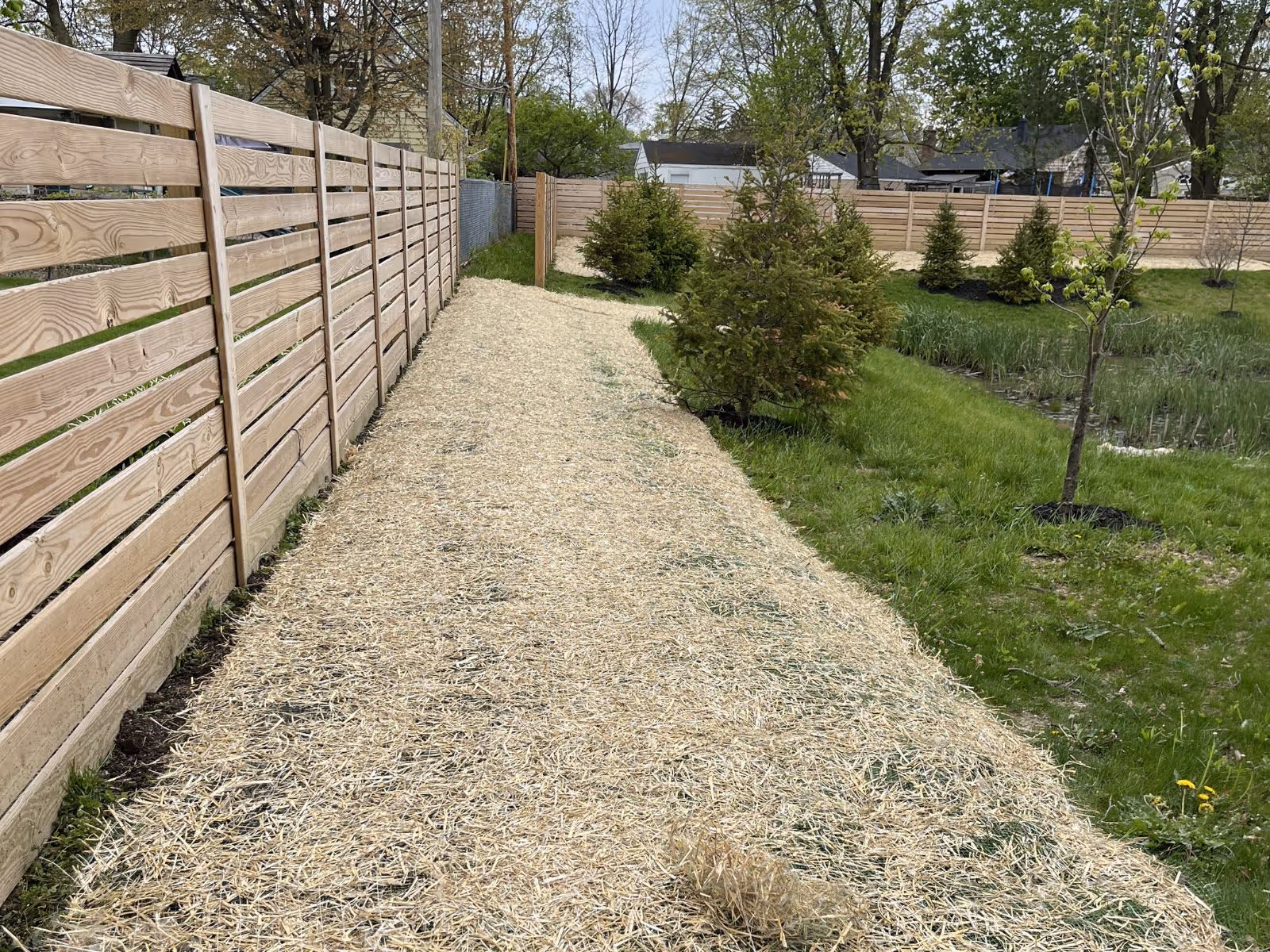 A garden area with a wooden fence on the left, a straw-covered path in the center, and green grass with small trees on the right.