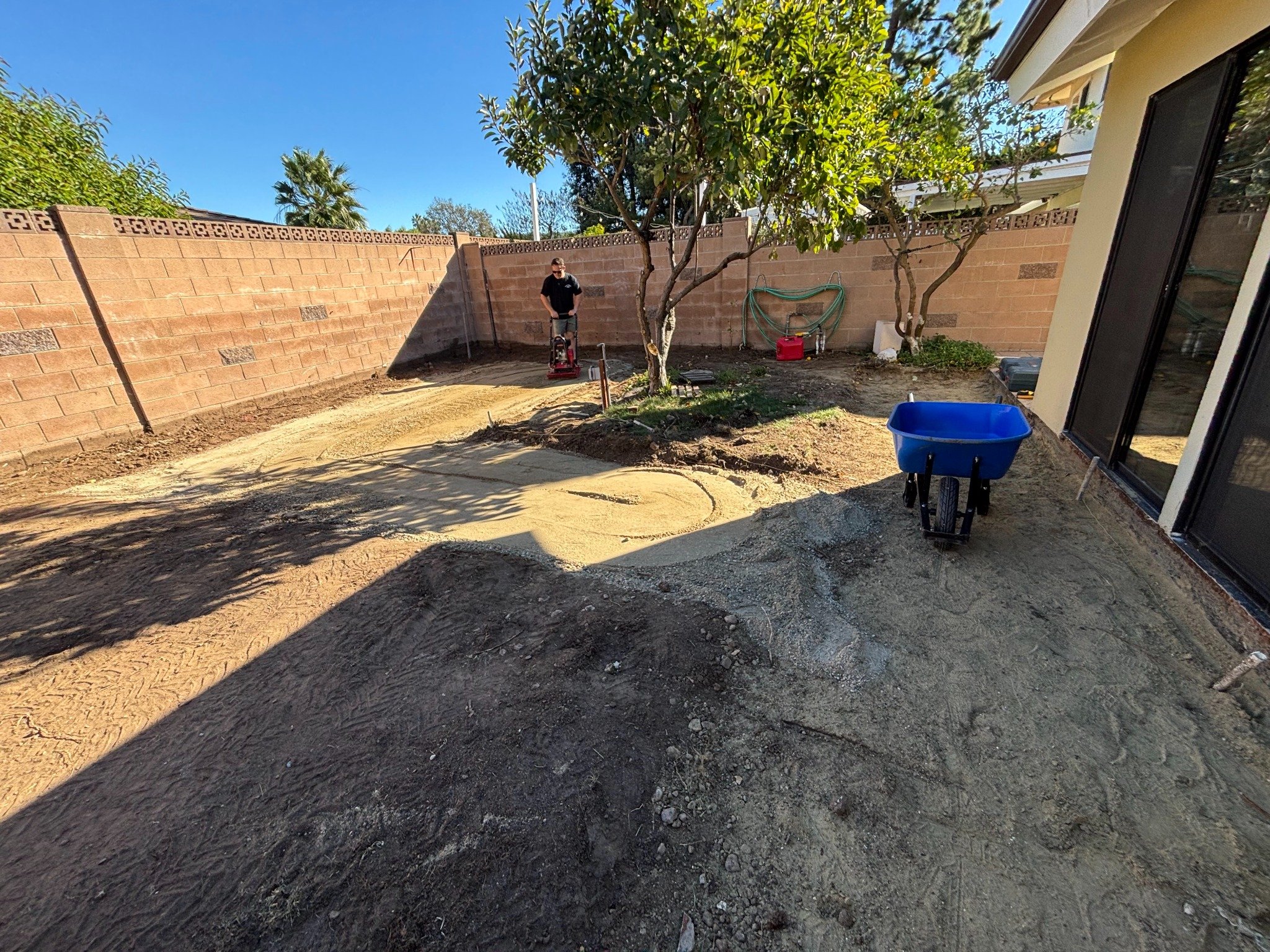 image of reforestation project