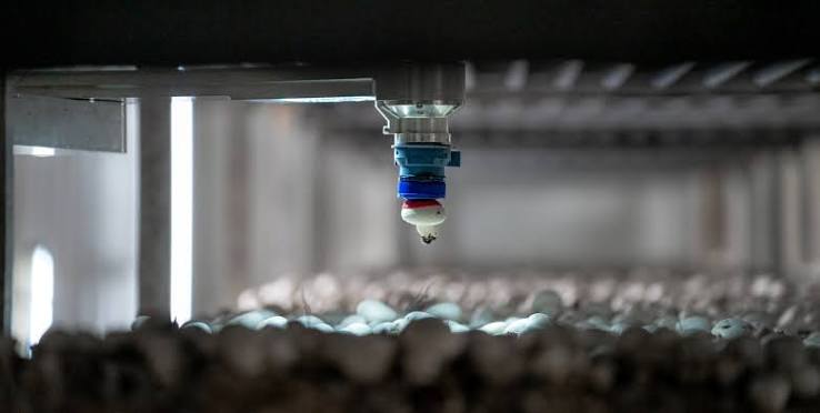 4AG Robotics builds autonomous harvesting robots for the commercial mushroom industry.