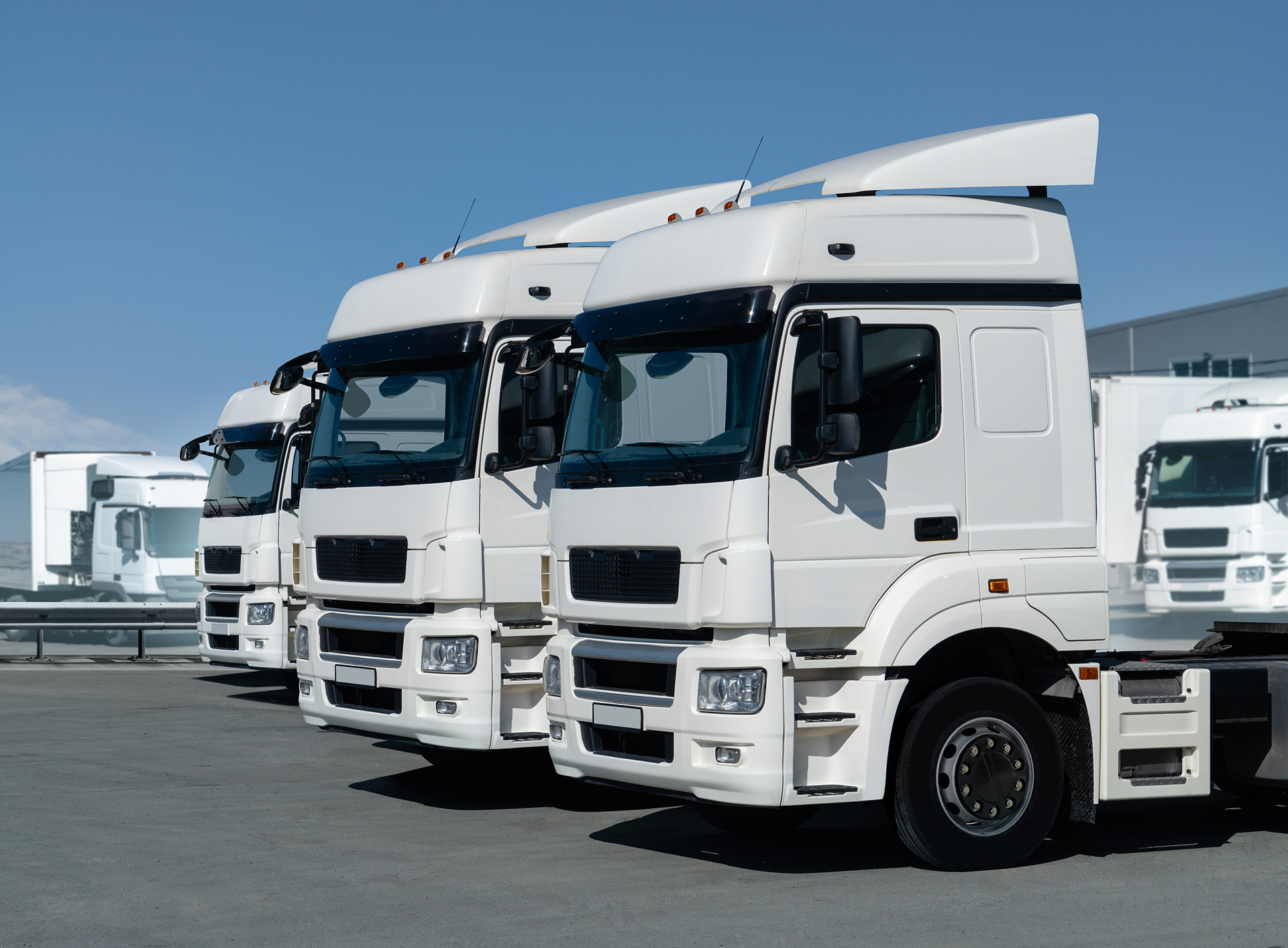 Row of white semi-trucks parked in an industrial lot under a clear blue sky.