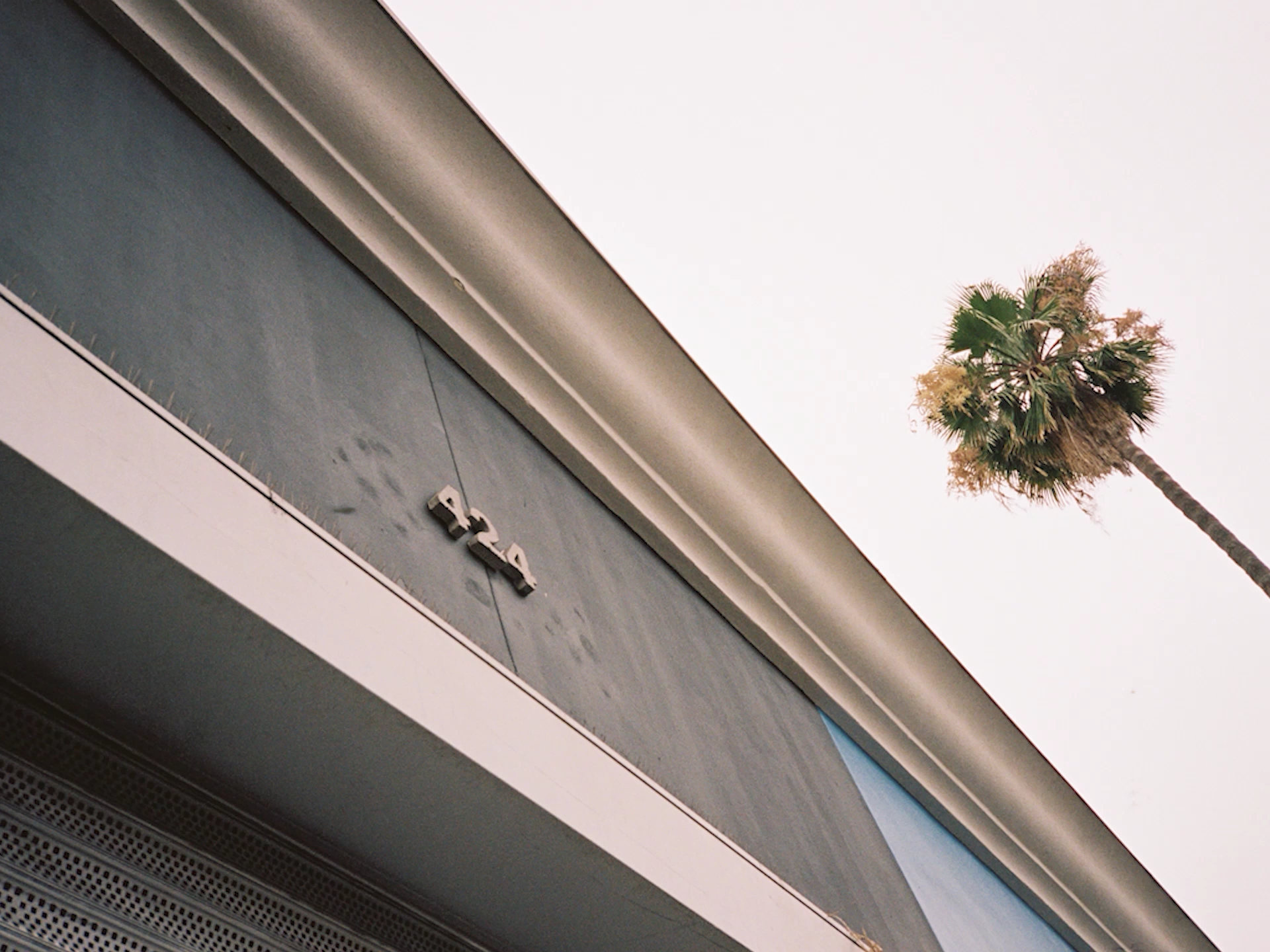 Palm tree beside a building facade with the number 424, viewed from below.