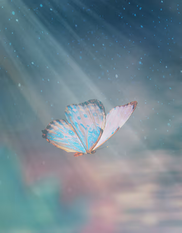 Illustration Schmetterling fliegt in Sonnenstrahlen