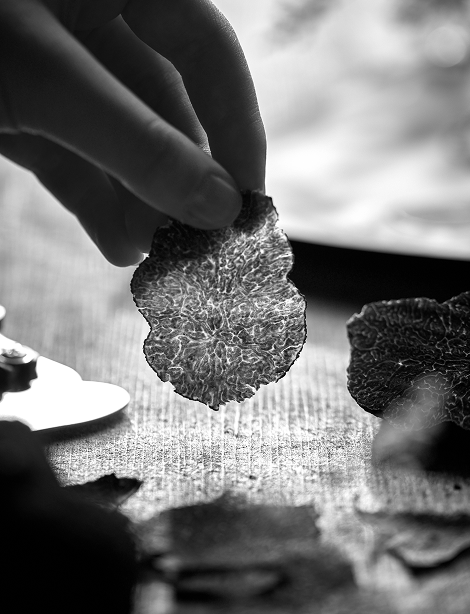 Hand holding a thin, textured black truffle slice over a table with more slices and a truffle slicer.