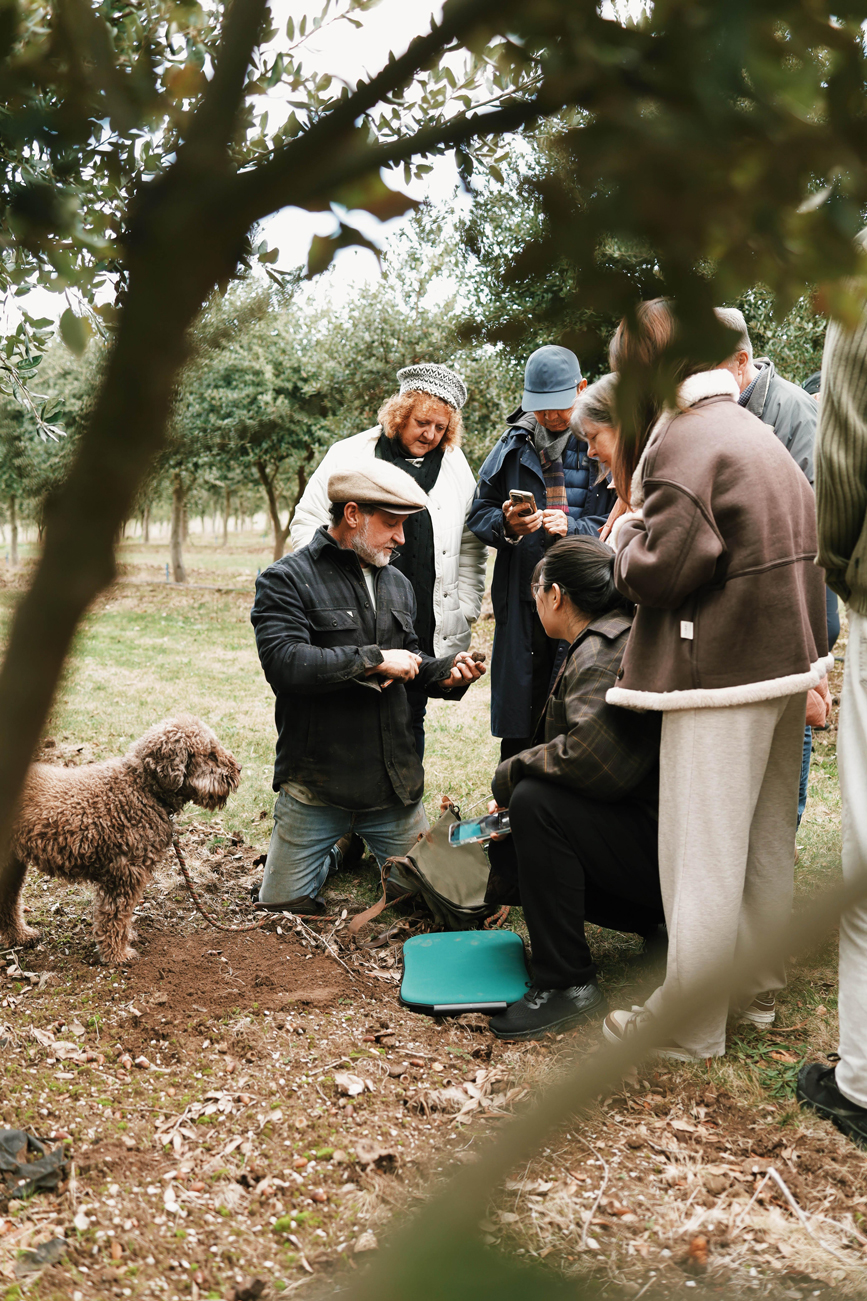 On a truffle hunt