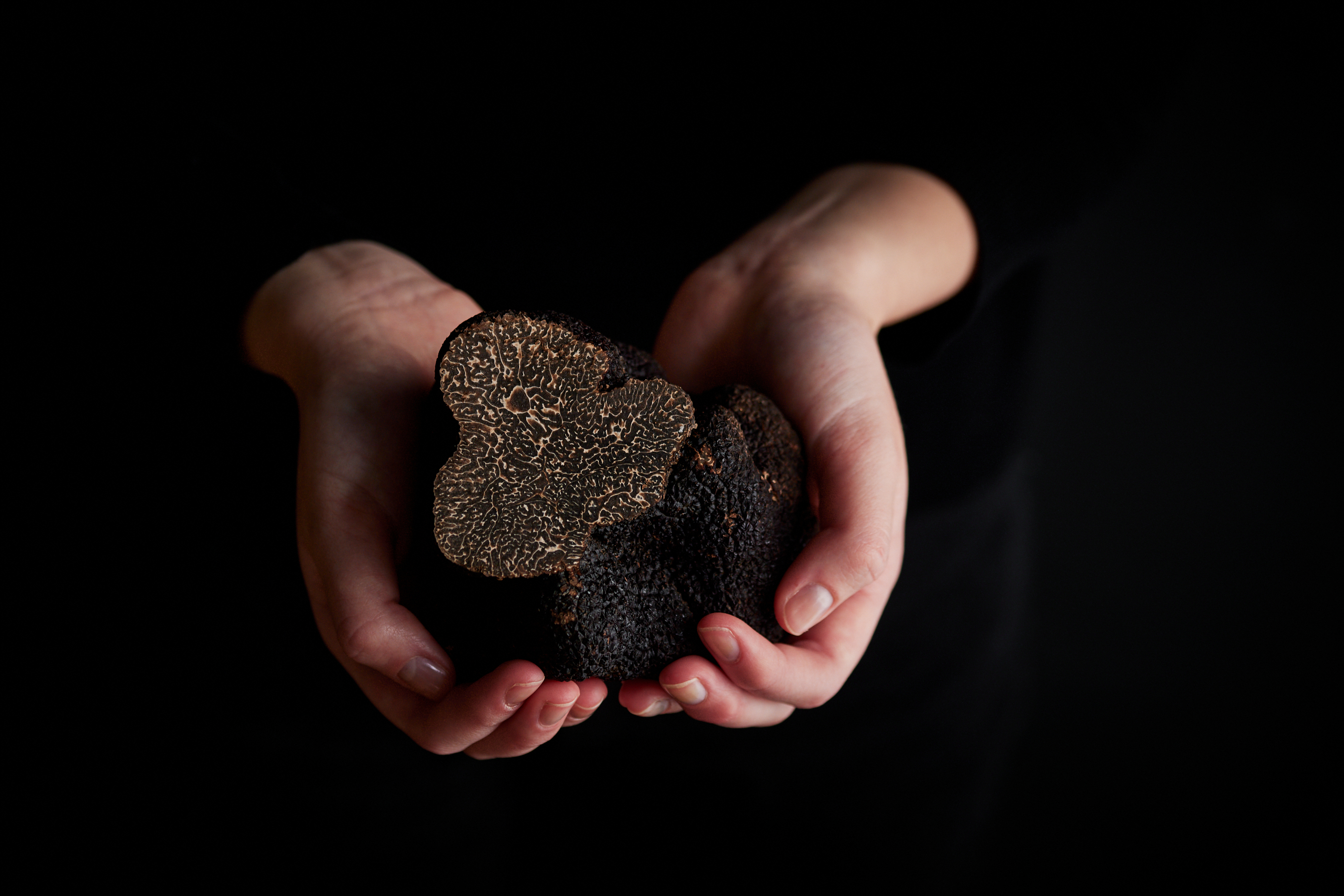 Two hands holding a black truffle with one piece sliced to show its marbled interior.