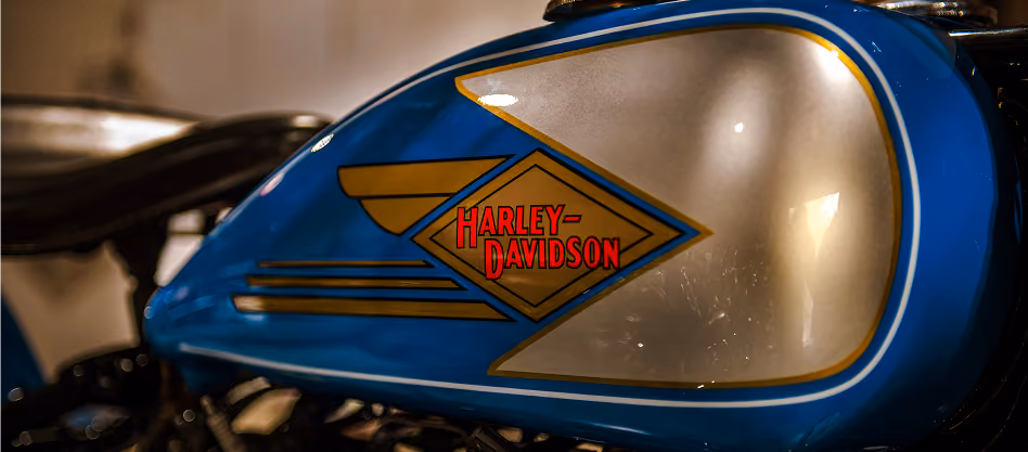 Close-up of blue and gold Harley-Davidson motorcycle fuel tank with logo.