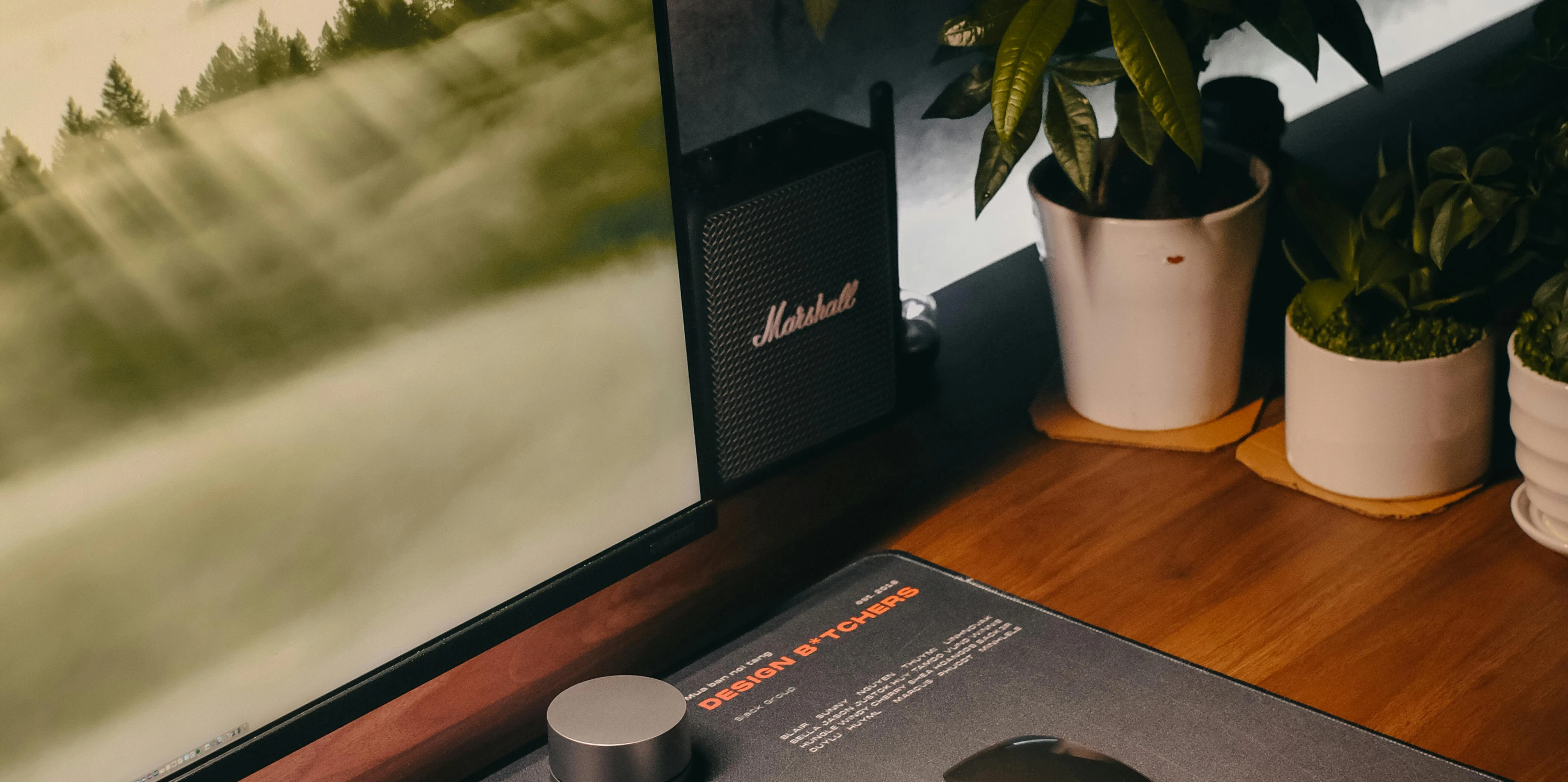 Project V1 Card Image