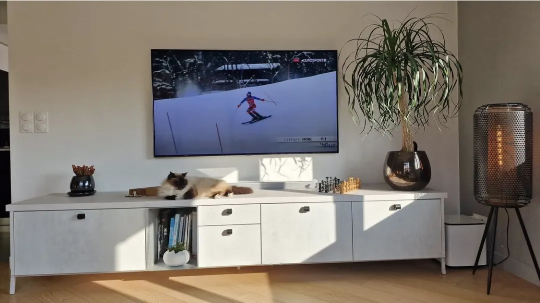 Meuble TV blanc avec un chat allongé dessus, une plante en pot, un jeu d'échecs, une lampe sur pied et une télévision affichant un skieur.