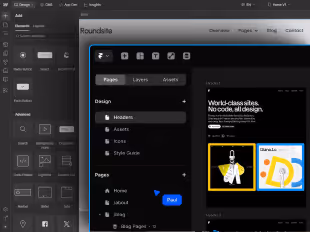 Webflow CMS