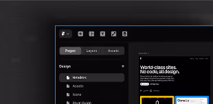 Webflow CMS