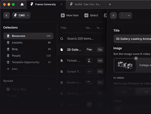 Webflow Cms