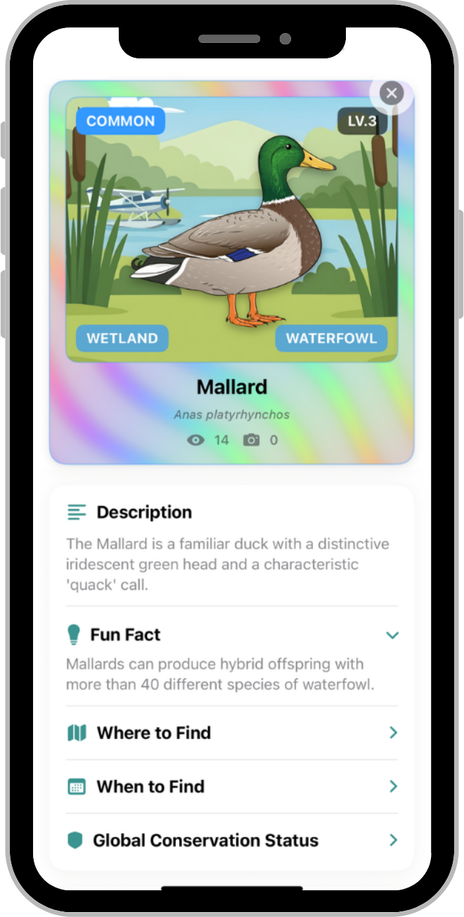 Birdex bird profile phone screen showing a Mallard card and species information