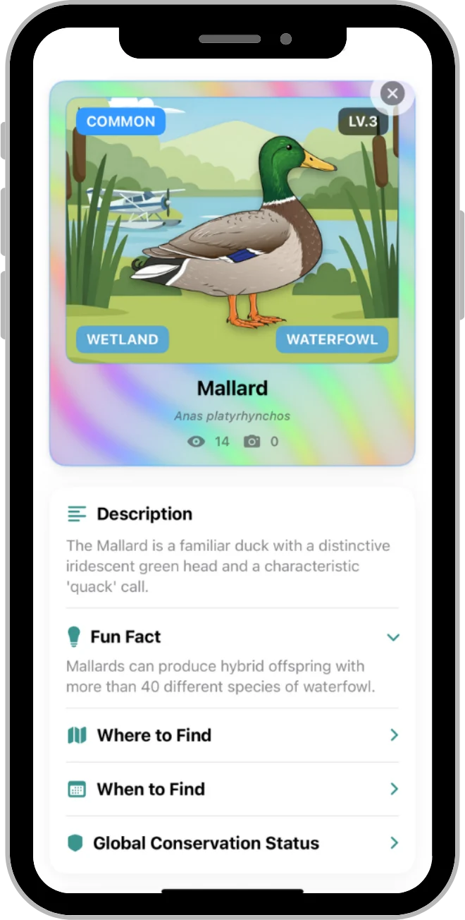 Learn about spotting UK Wildlife