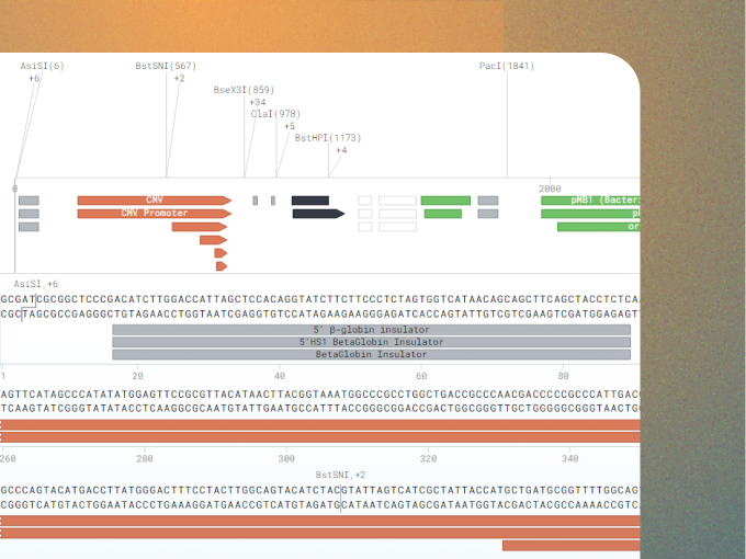 Native plasmid map in Lab Thread