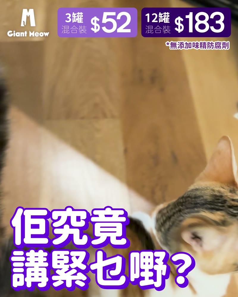 Giant Meow creative by CLS Studio