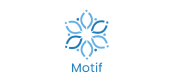 Motif