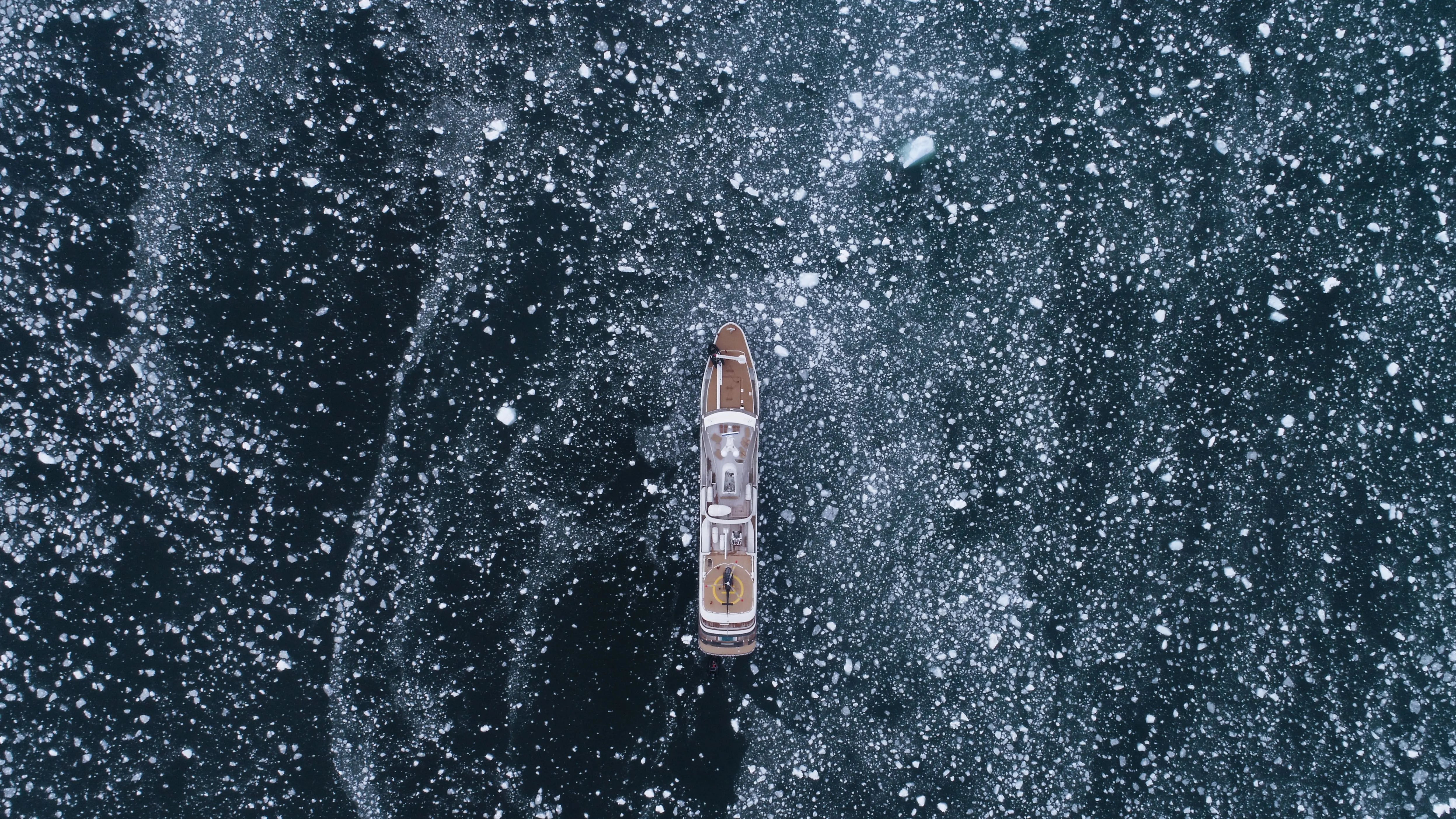 classic-butter-croissant