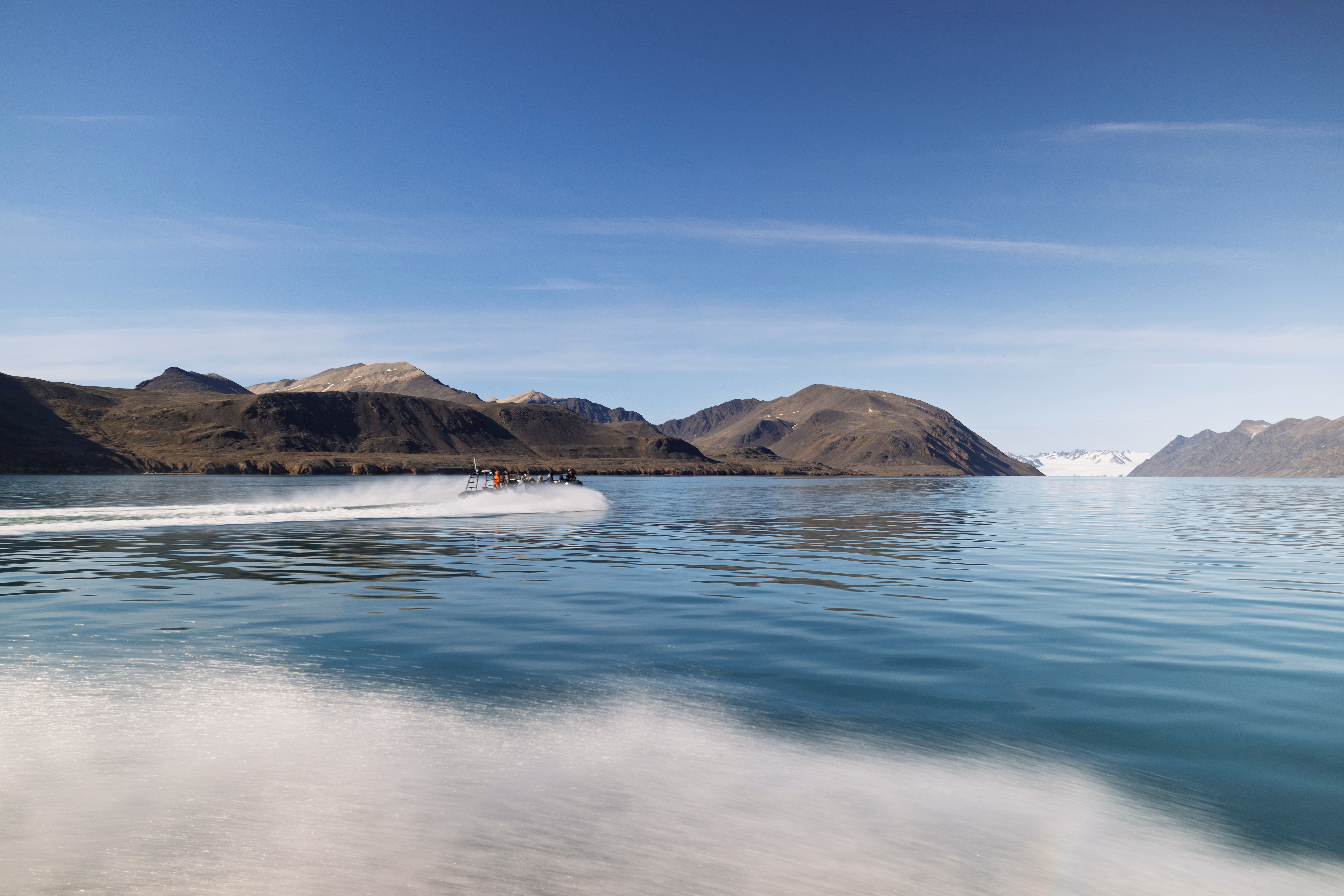 banana-walnut-muffin