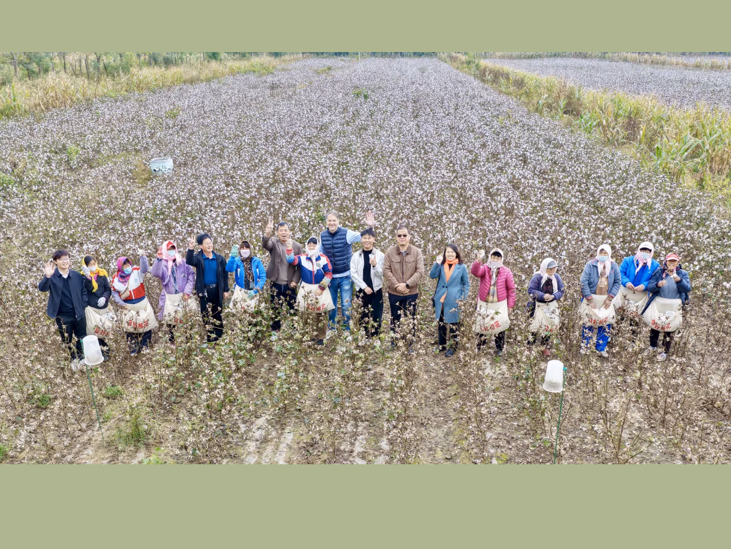 Group of people standing and waving in a field of cotton plants, some wearing face masks and aprons.
