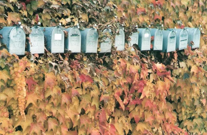 The Top Email KPIs for Nonprofit Communicators