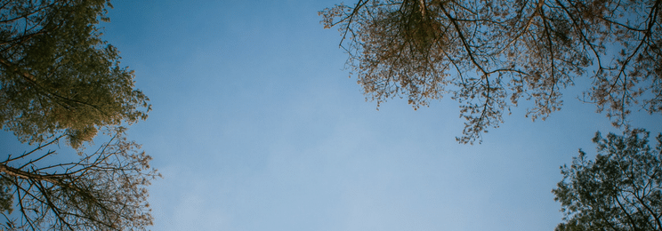 overhead myth