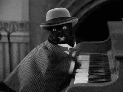 gif of cat playing piano