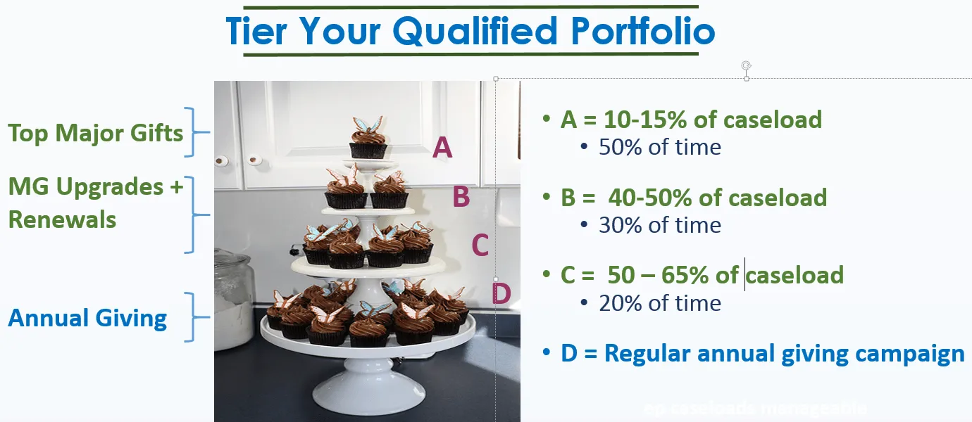 major donor portfolio