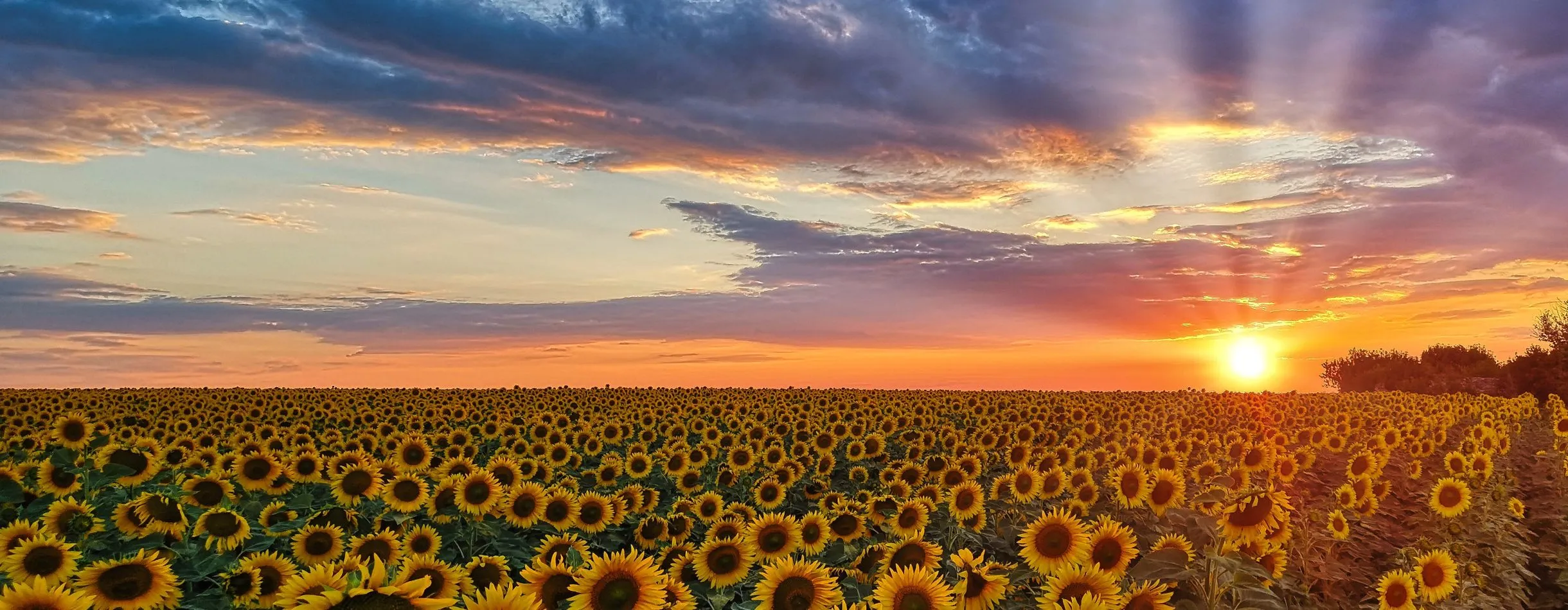 5 Things To Do This Summer To Be Ready For Fall Fundraising