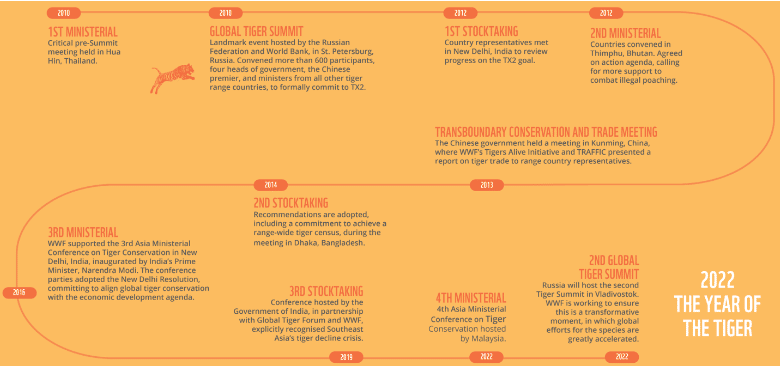 digital reporting for nonprofits