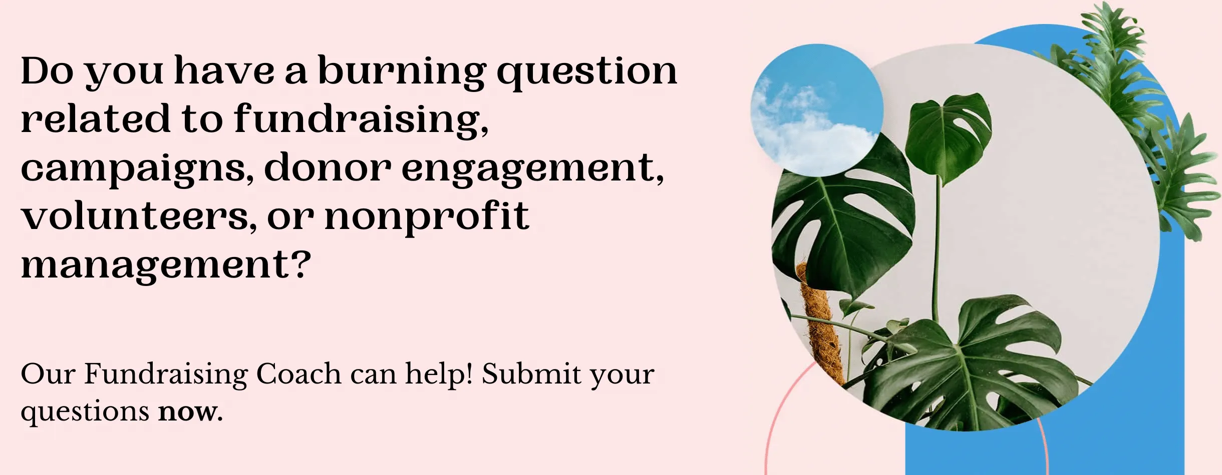 ask an expert