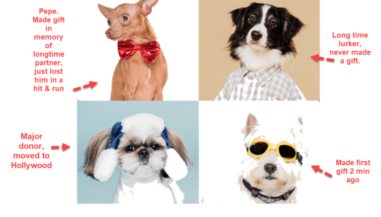 Four dogs with captions describing their donation status, including Pepe and a dog with yellow sunglasses.
