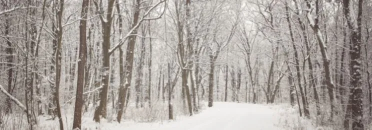 Tips To Boost Nonprofit Volunteer Morale This Winter